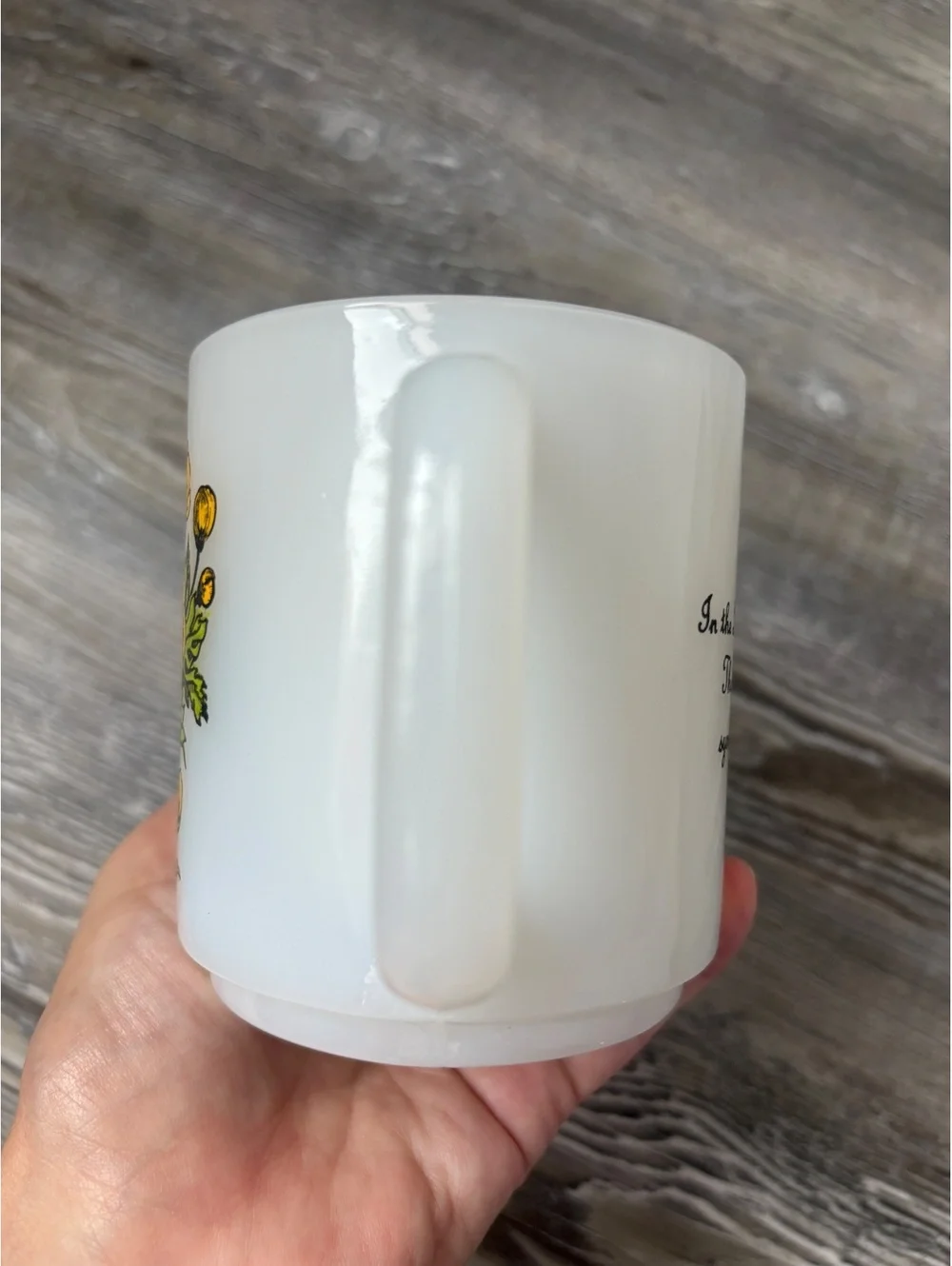 Glasbake vintage milk